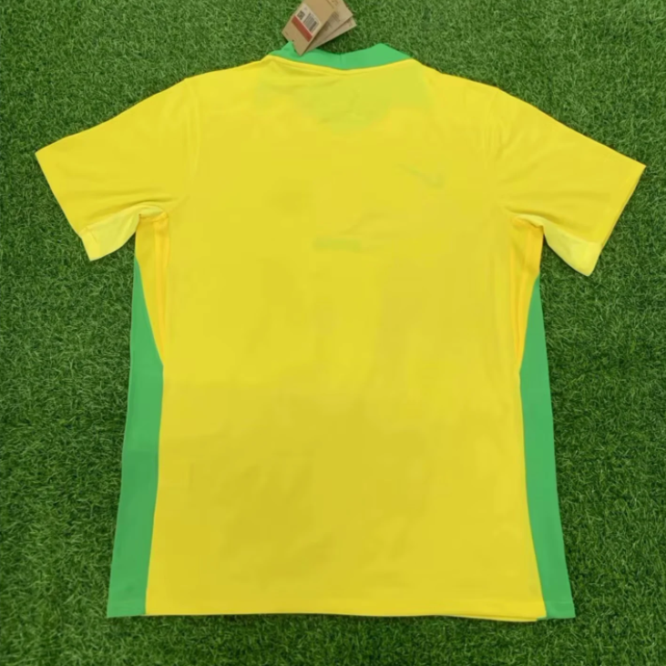 25-26 Brazil Yellow Special Edition Fans Soccer Jersey