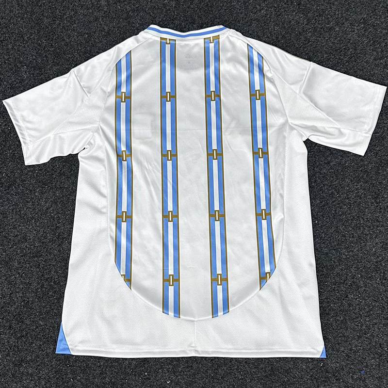 2026-27 Argentina White Special Edition Training shirts (金边)