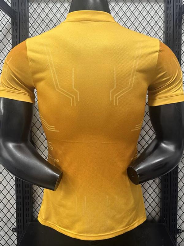 26-27 Argentina Golden Special Edition Player Version Training shirts