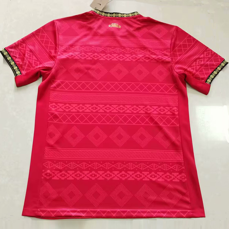 25-26 Brazil Red Special Edition Training shirts (Print Personalized AD) (圆领)