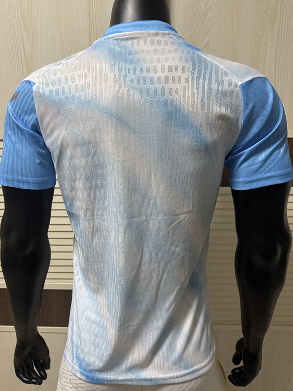26-27 Argentina White blue Player Version Training shirts