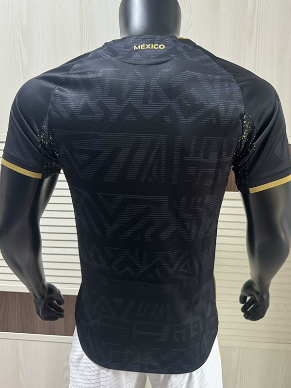 25-26 Mexico Special Edition Player Version Training Shirts (鹰与蛇)