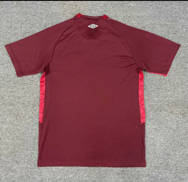 25-26 CA Lanus Home Fans Soccer Jersey