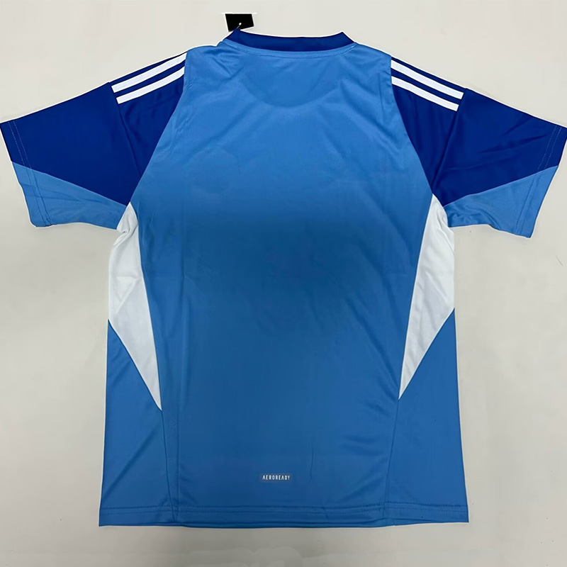 25-26 Man Utd Blue Goalkeeper Fans Soccer Jersey