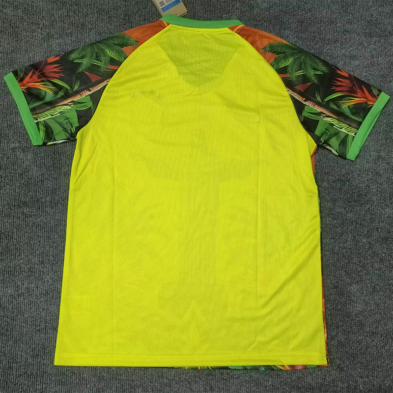 25-26 Brazil Red Yellow Green Special Edition Training shirts
