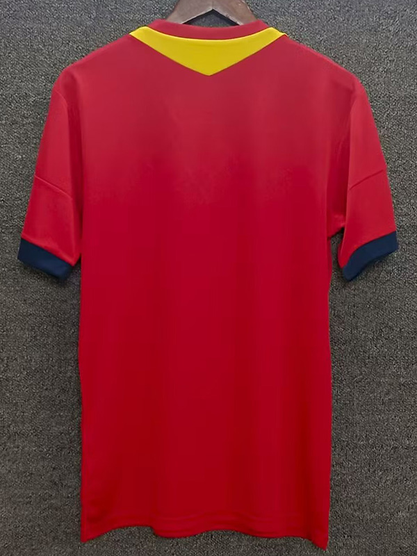 2013-2014 Spain Home Retro Soccer Jersey