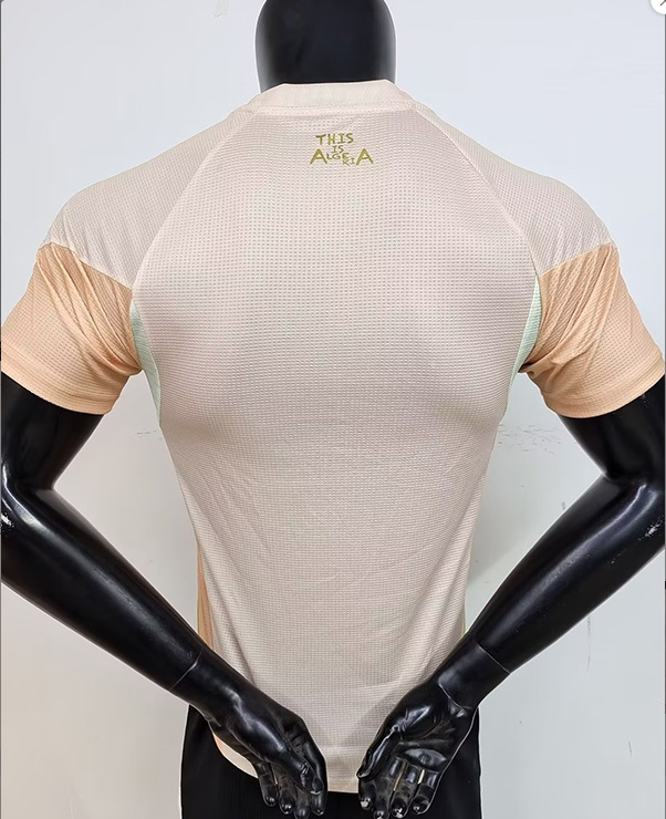 25-26 Algeria Khaki Player Version Training shirts #A38卡其