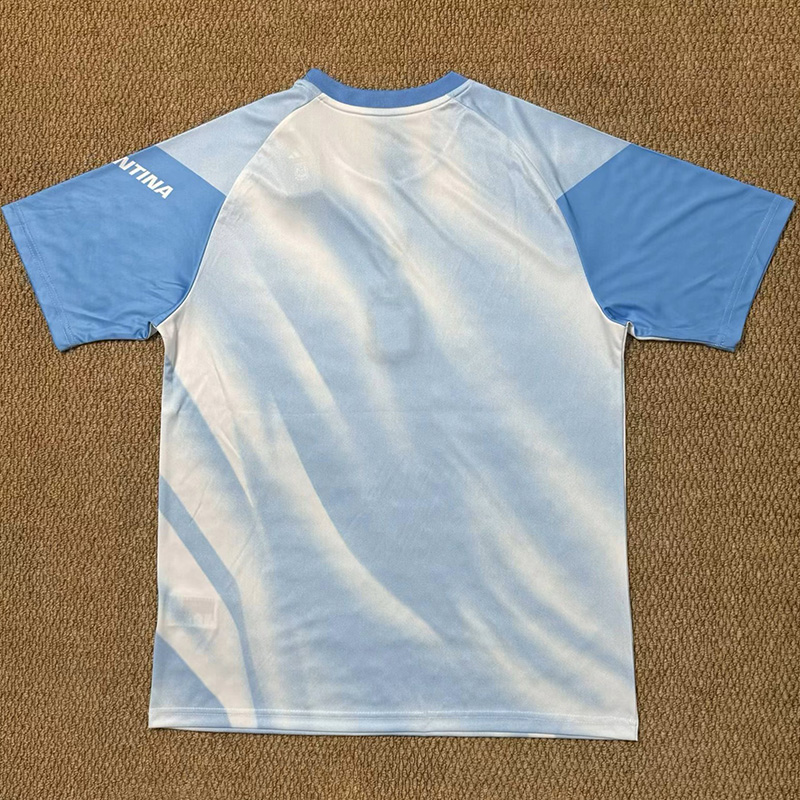 26-27 Argentina Blue White Training shirts