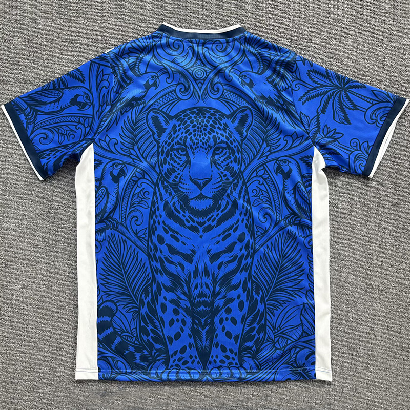 26-27 Brazil Blue Special Edition Training shirts (蓝豹)