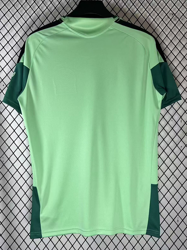 26-27 Mexico Fluorescent Green Fans Training shirts