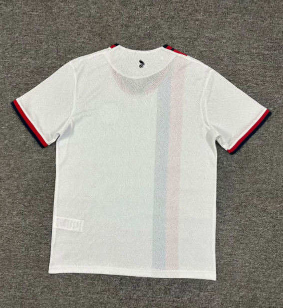 25-26 San Lorenzo Away Fans Soccer Jersey