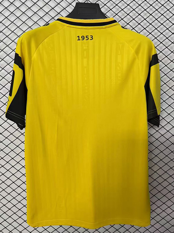 2025-26 Dynamo Dresden Home Fans Soccer Jersey