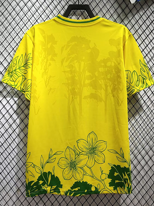 26-27 Brazil Yellow Special Edition Training shirts 花图