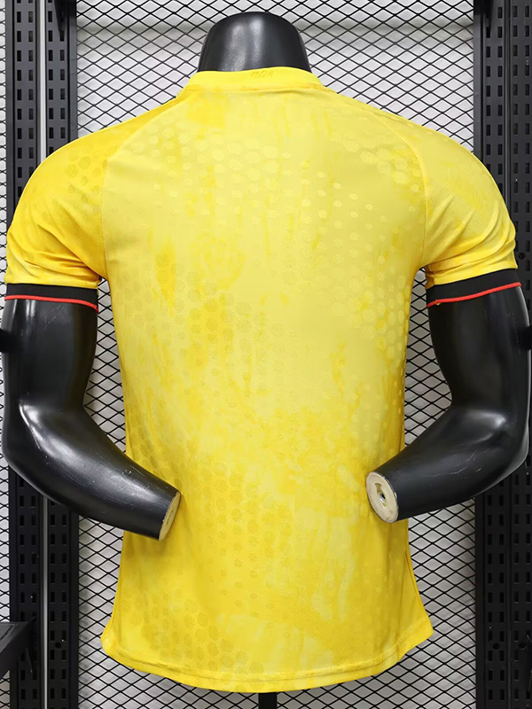 26-27 Colombia Yellow Special Edition Player Version Training shirts (逗号)
