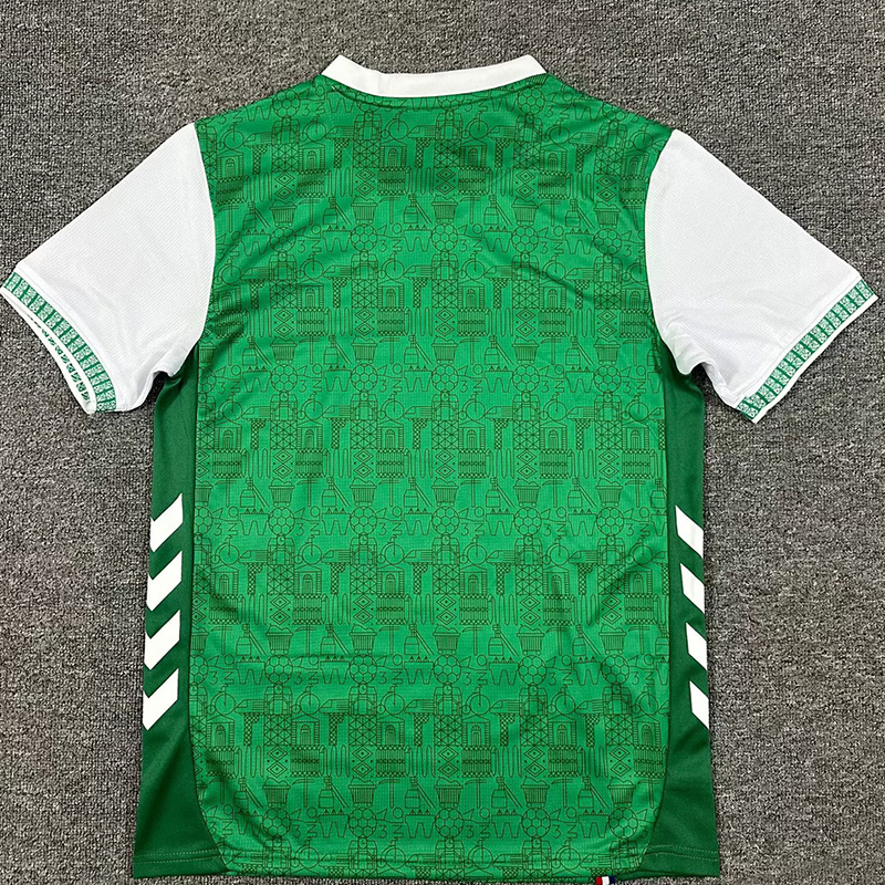 25-26 Saint Etienne Home Fans Soccer Jersey