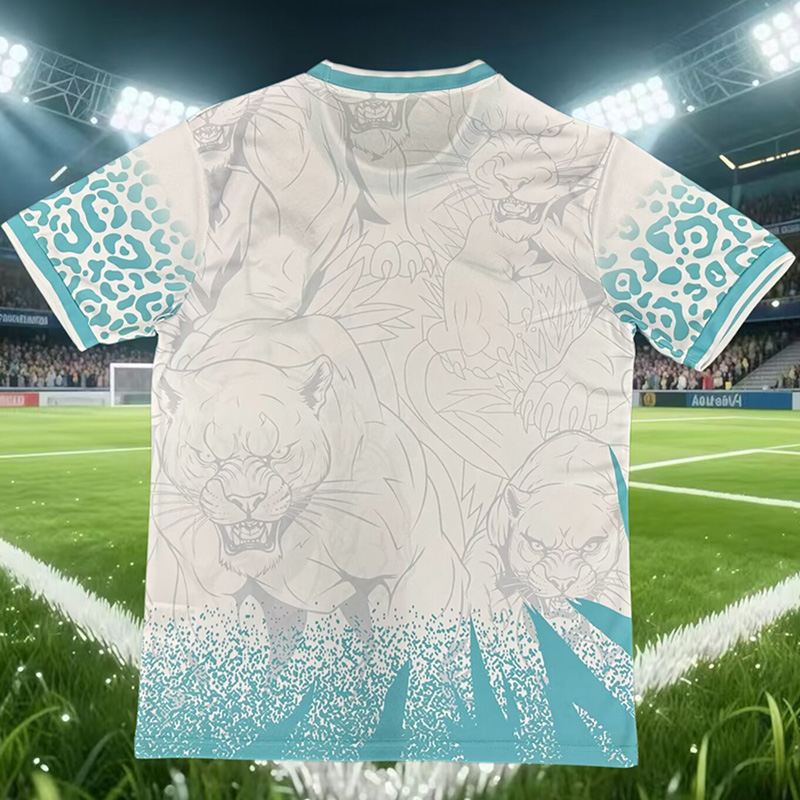 26-27 Brazil Blue White Special Edition Training shirts