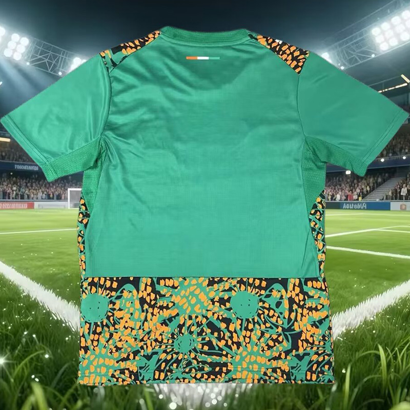 26-27 Ivory Coast Green Training shirts