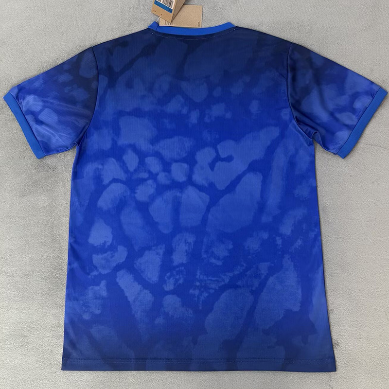 26-27 Brazil Blue Special Edition Training shirts (飞人标)