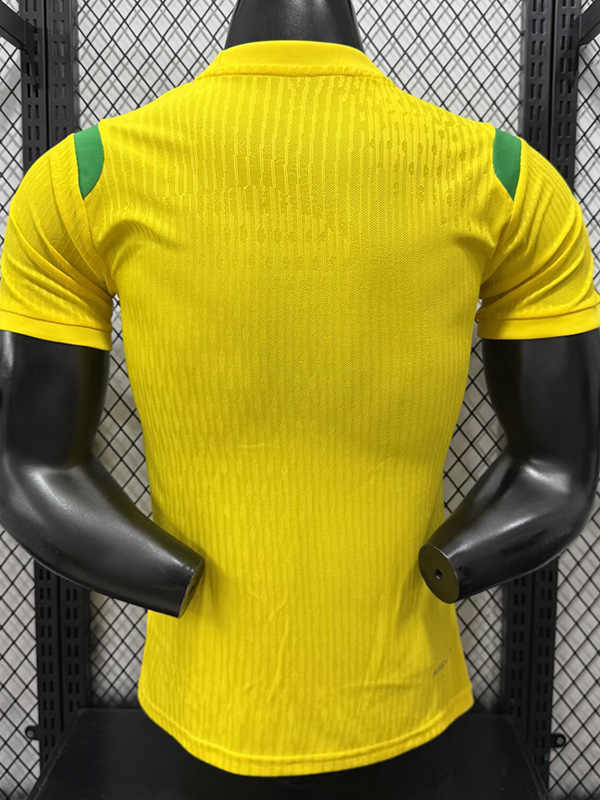 26-27 Brazil Yellow Special Edition Player Version Training shirts (绿飞人标)