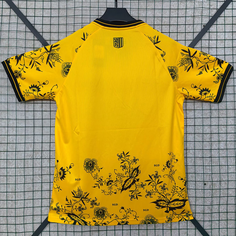 25-26 Dynamo Dresden Special Edition Fans Soccer Jersey