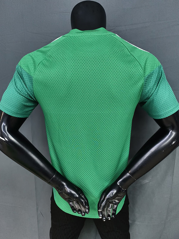 26-27 Algeria Green Player Version Training shirts (红格)