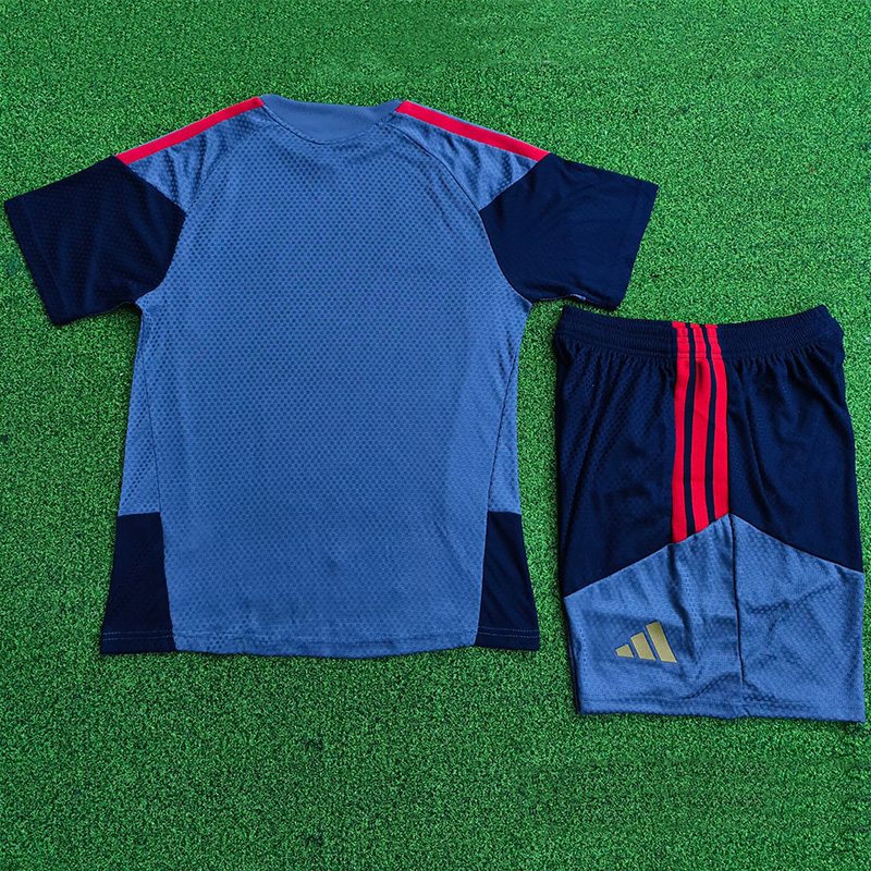 26-27 Bayern Grey Player Version Training Short Suit (球员短套装)