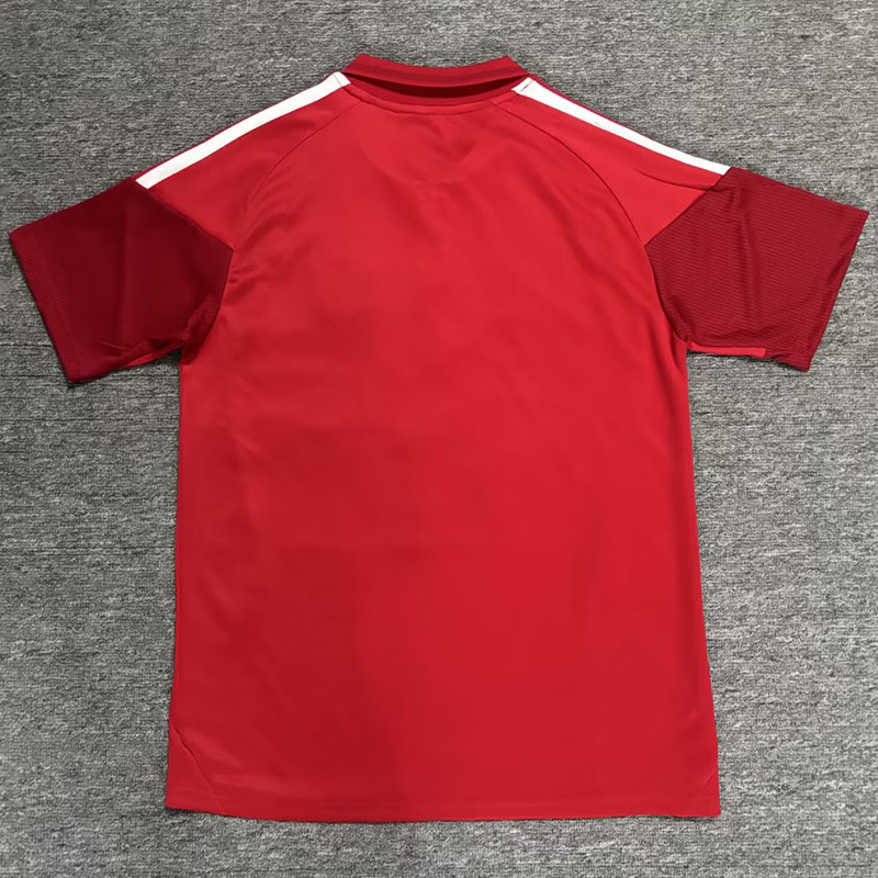 26-27 River Plate Red Polo Short Sleeve (半拉链)