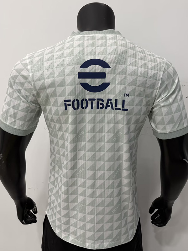 26-27 INT Grey White Player Version Training shirts