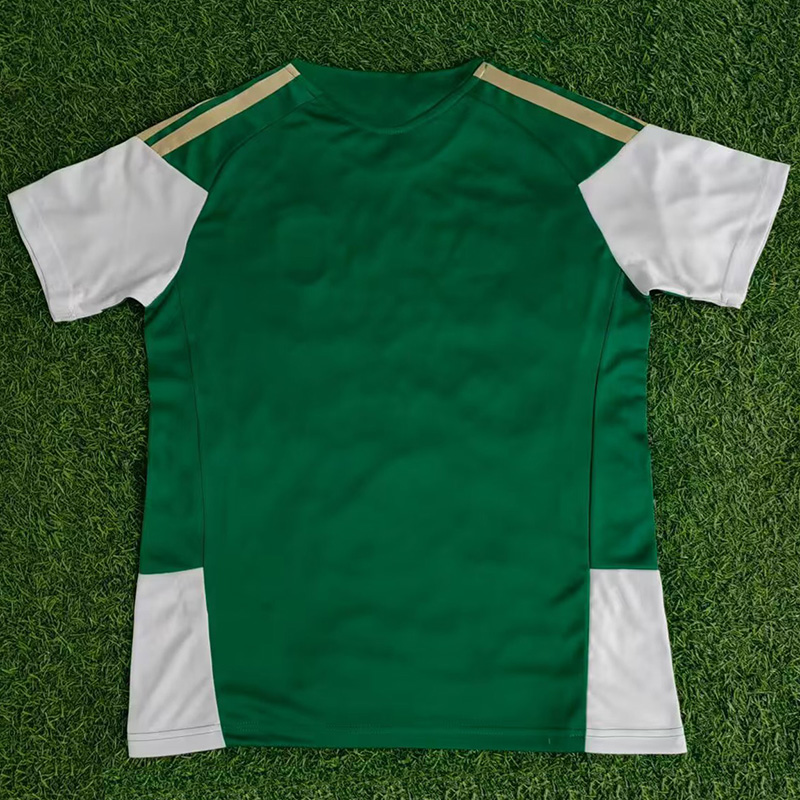26-27 Italy Green Training shirts
