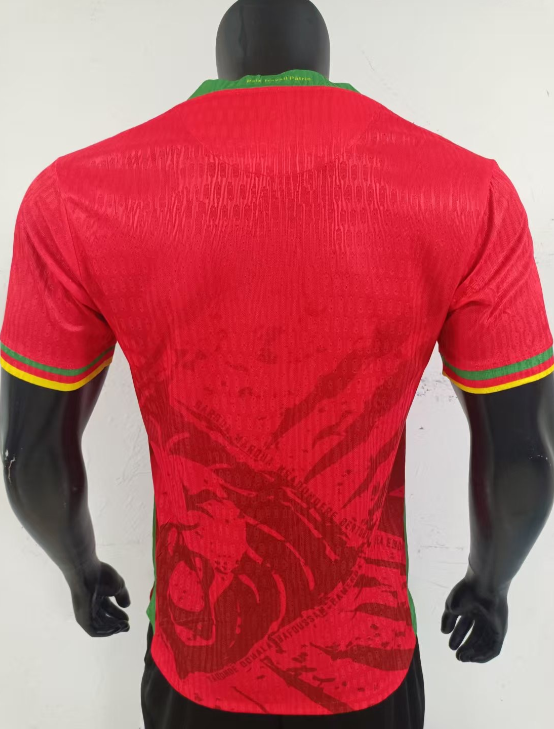 25-26 Cameroon Red Player Version Soccer Jersey