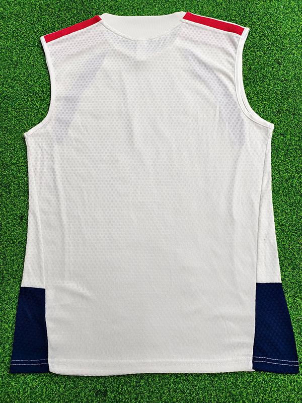 26-27 Bayern Beige ‌Player Version Training Vest (球员版)