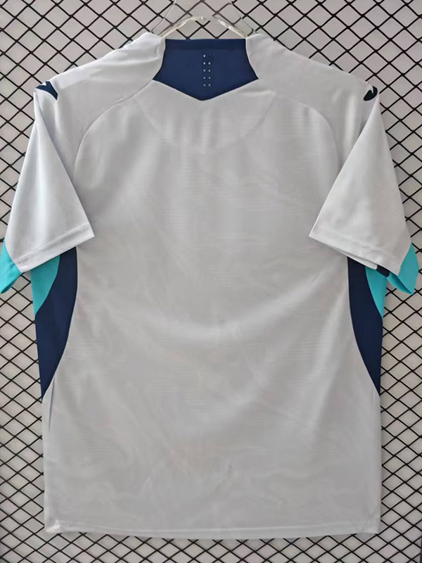 25-26 Hoffenheim Third Fans Soccer Jersey