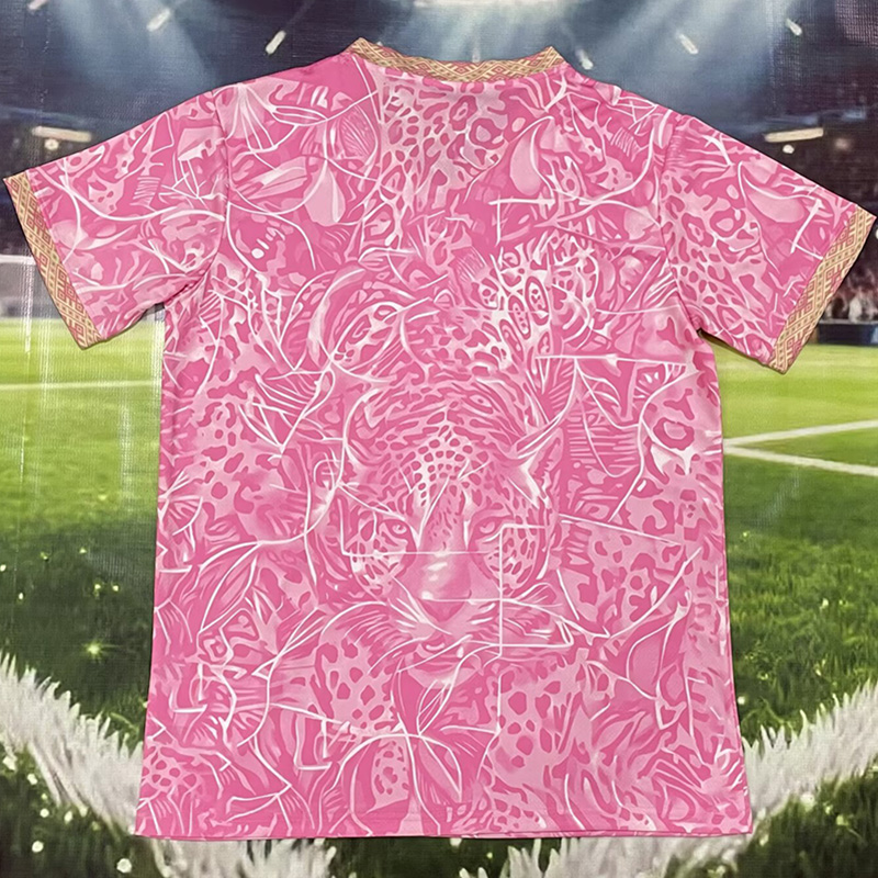 26-27 Brazil Pink Special Edition Fans Training shirts (小鹦鹉标 )