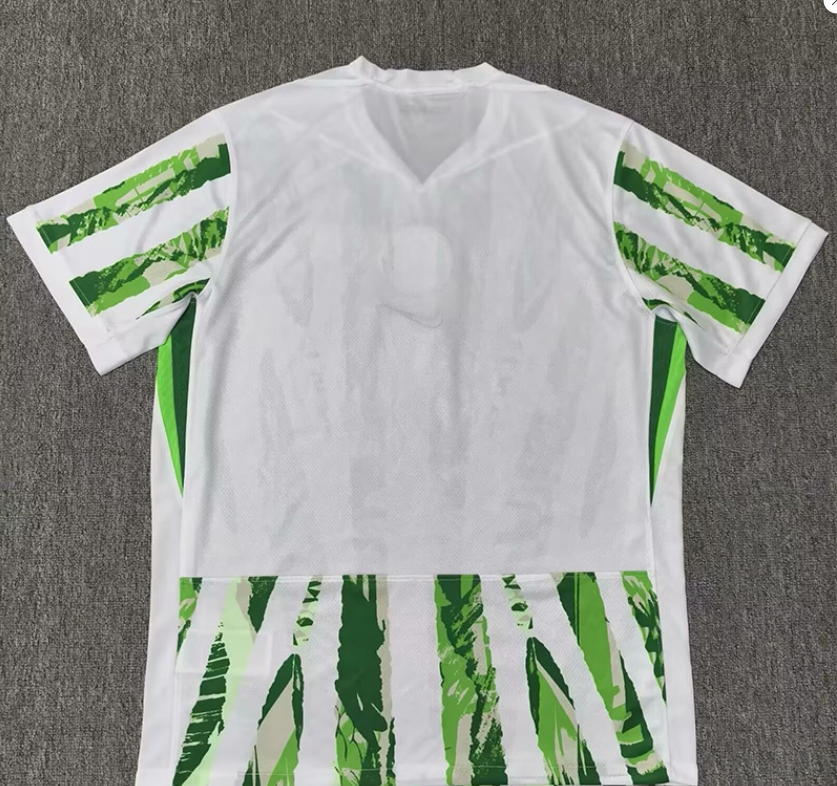 25-26 Nigeria Green White Fans Soccer Jersey