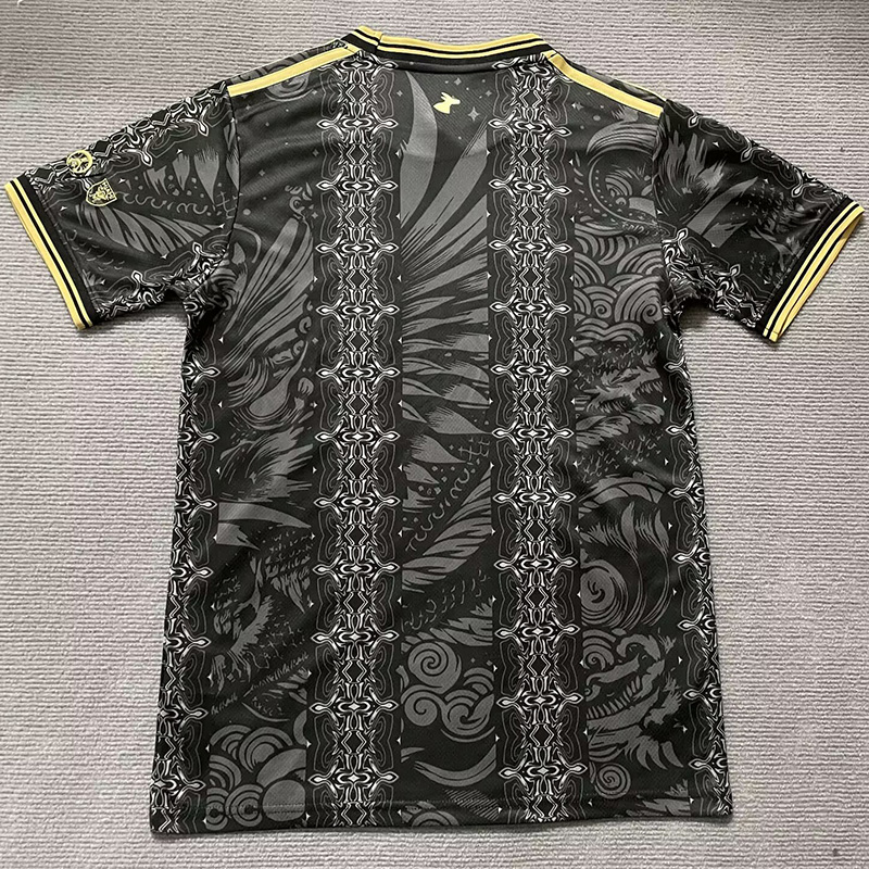 25-26 Argentina Black Gold Special Edition Training shirts