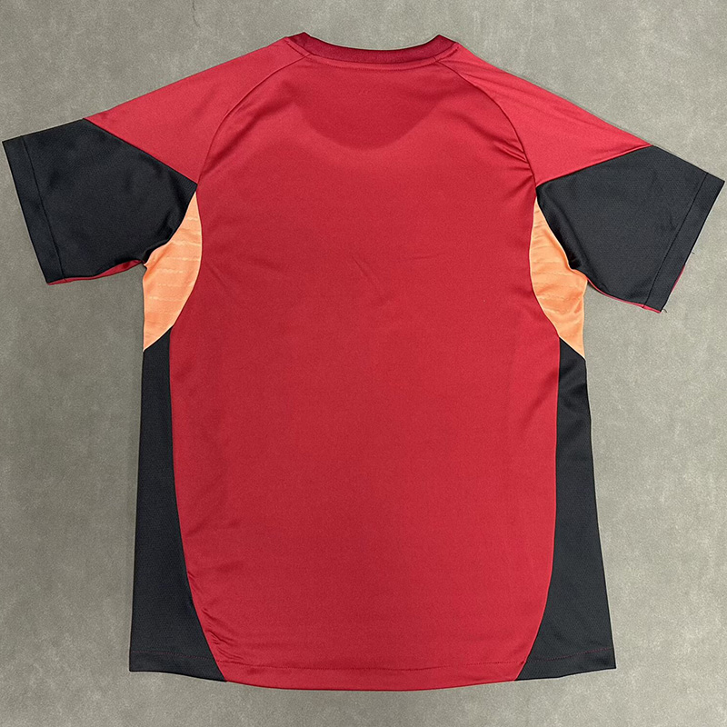 25-26 LIV Red Fans Training shirts