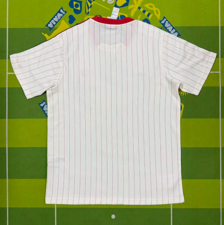 25-26 Benfica Special Edition White Training shirts