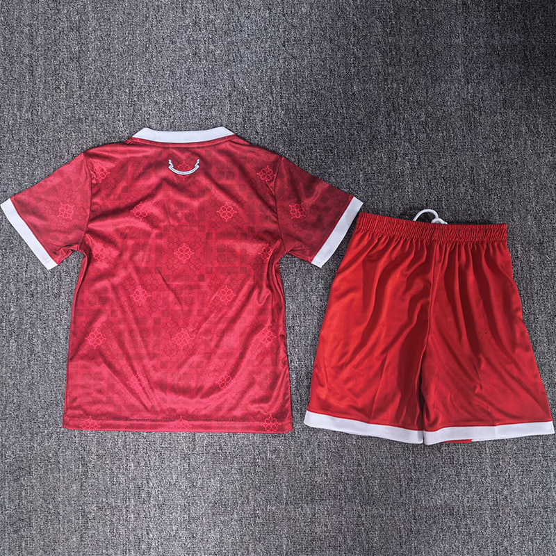 26-27 Wales Red Kids Soccer Jersey (Su-du)