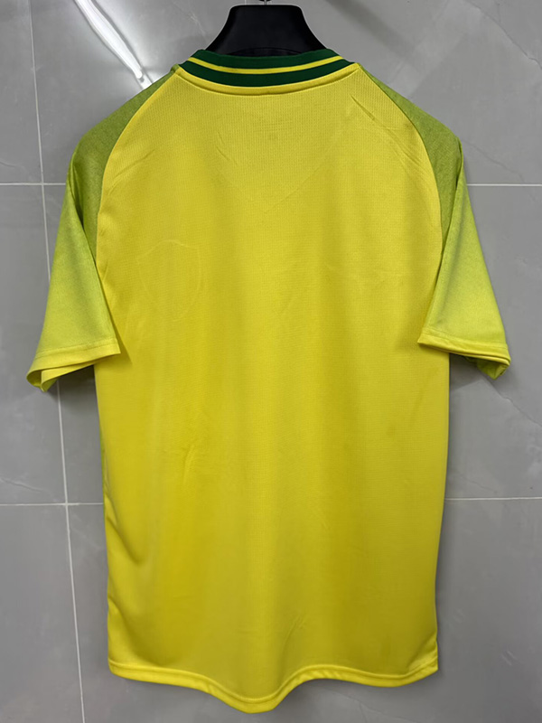 26-27 Botafogo Fluorescent Green Training shirts
