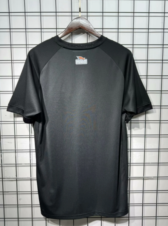 25-26 Botafogo Black Special Edition Fans Soccer Jersey