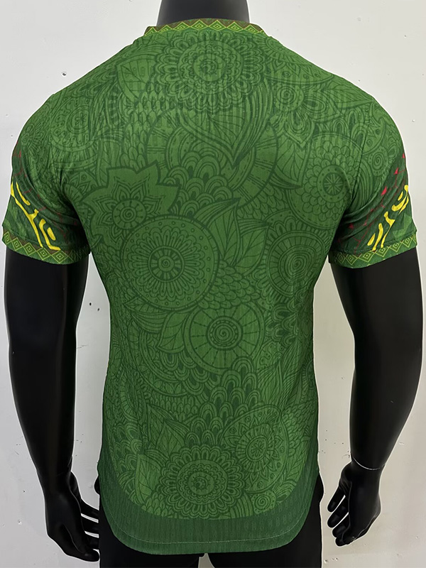25-26 Mali Green Player Version Soccer Jersey