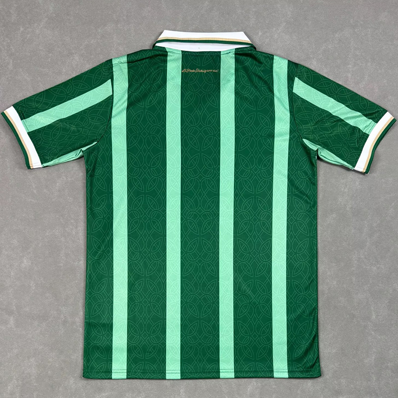 25-26 Aston Villa Green Special Edition Fans Soccer Jersey