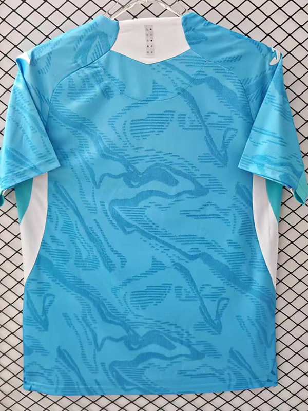 25-26 Hoffenheim Away Fans Soccer Jersey