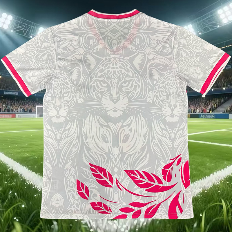 26-27 Brazil Pink White Special Edition Training shirts