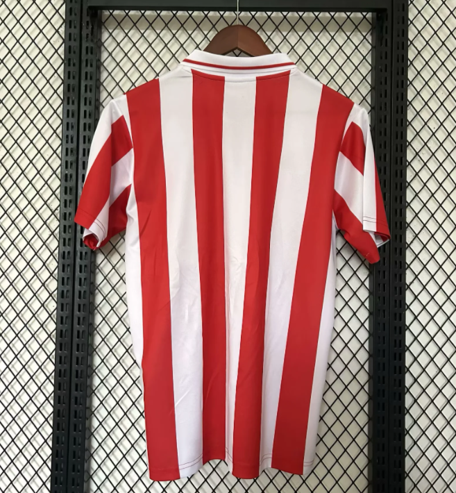 24/25 Olympiacos 100th Anniversary Edition Fans Soccer Jersey