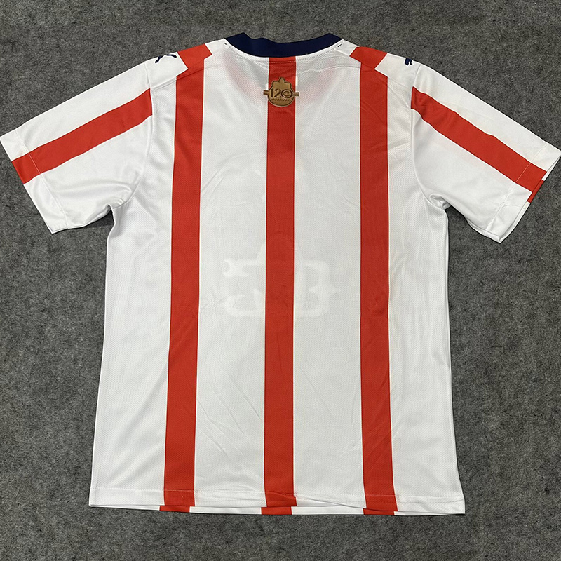 2026 Chivas Guadalajara 120th Anniversary Fans Soccer Jersey