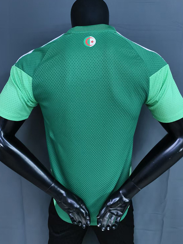 26-27 Algeria Green Player Version Training shirts