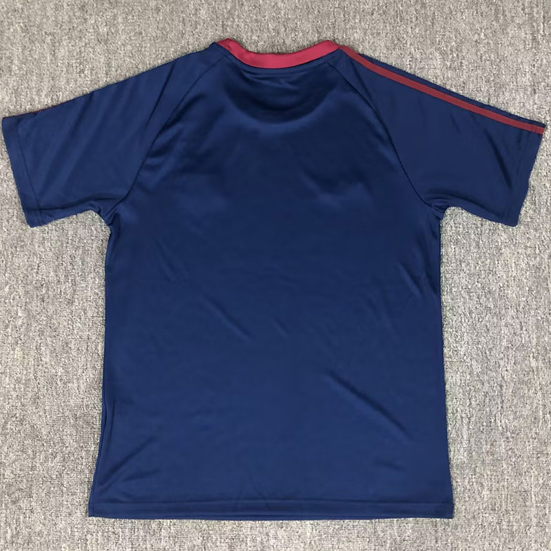 25-26 Newcastle Royal blue Casual Edition Fans Training shirts