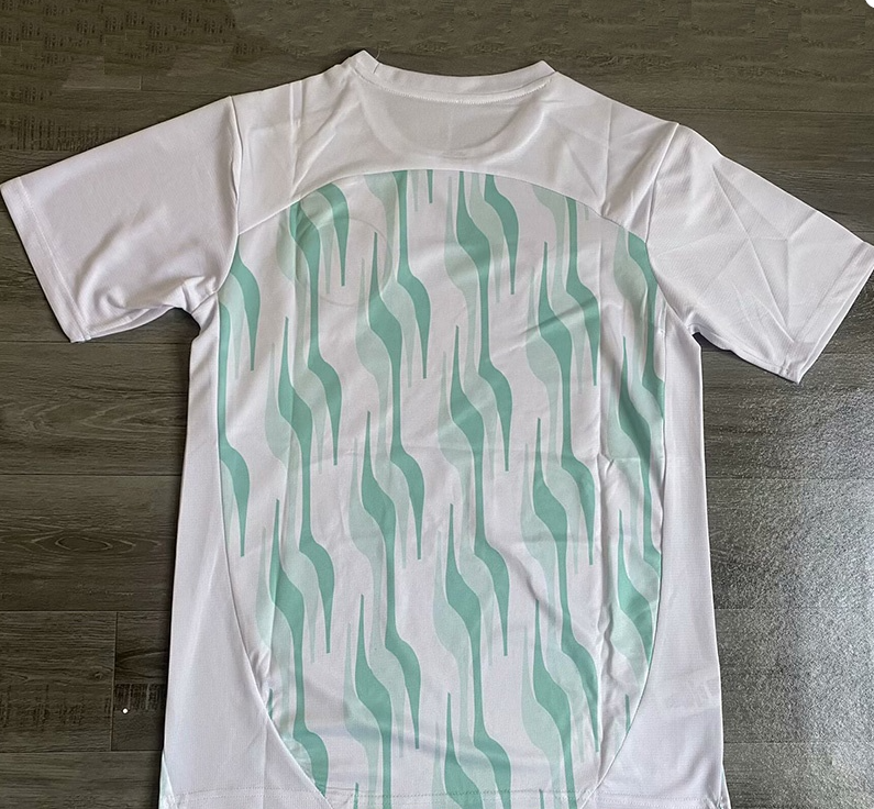 25-26 Palmeiras White Training Shirts