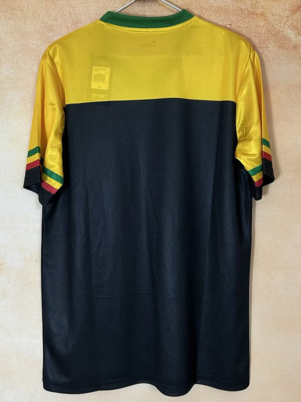 26-27 Ghana Yellow Black Fans Training shirts (GH上截黄)